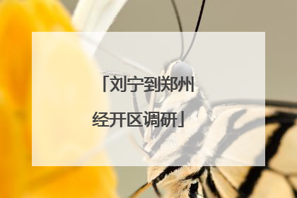 刘宁到郑州经开区调研