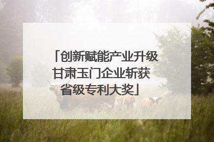 创新赋能产业升级 甘肃玉门企业斩获省级专利大奖