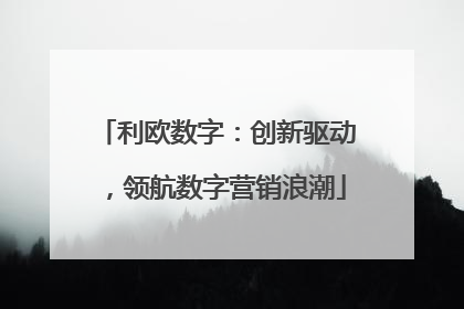 利欧数字：创新驱动，领航数字营销浪潮