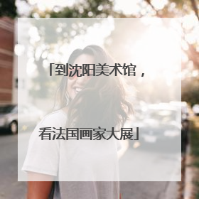 到沈阳美术馆，看法国画家大展