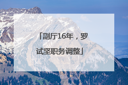 副厅16年，罗试坚职务调整