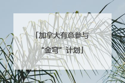加拿大有意参与“金穹”计划