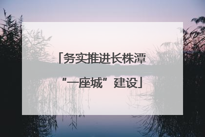 务实推进长株潭“一座城”建设