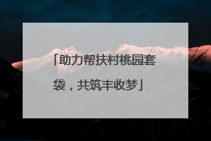 助力帮扶村桃园套袋，共筑丰收梦