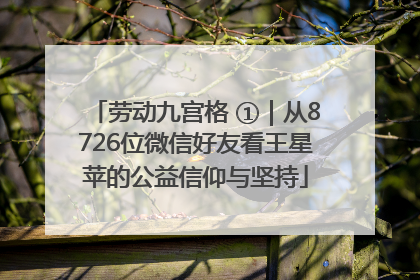 劳动九宫格 ①｜从8726位微信好友看王星苹的公益信仰与坚持