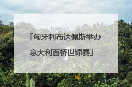 匈牙利布达佩斯举办意大利面桥世锦赛