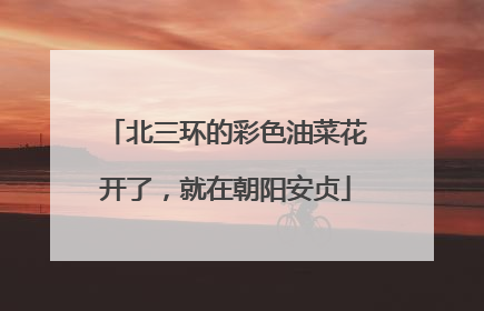 北三环的彩色油菜花开了，就在朝阳安贞