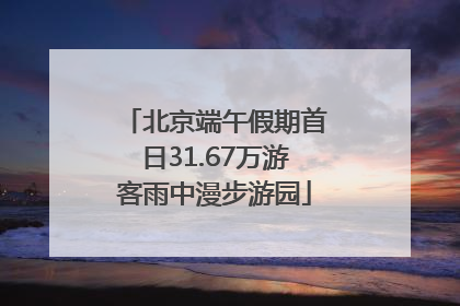 北京端午假期首日31.67万游客雨中漫步游园