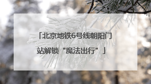北京地铁6号线朝阳门站解锁“魔法出行”