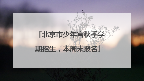 北京市少年宫秋季学期招生，本周末报名