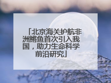 北京海关护航非洲鳉鱼首次引入我国，助力生命科学前沿研究