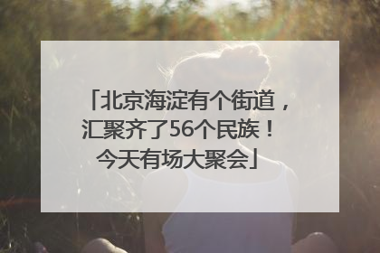 北京海淀有个街道，汇聚齐了56个民族！今天有场大聚会