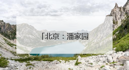 北京：潘家园何以悄悄成为年轻人心头好？