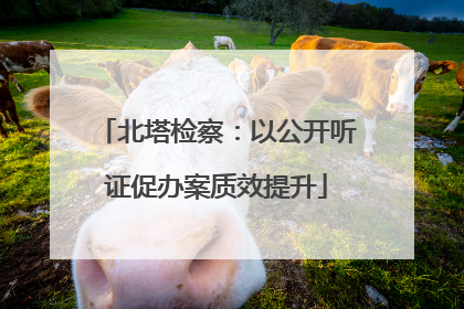 北塔检察：以公开听证促办案质效提升
