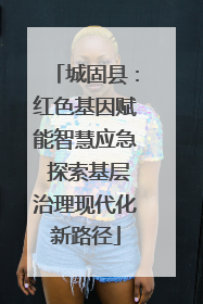 城固县：红色基因赋能智慧应急 探索基层治理现代化新路径