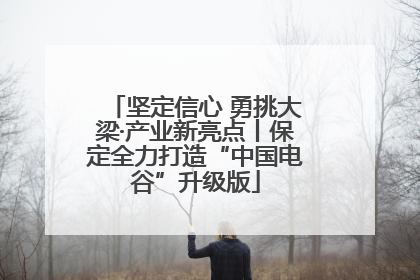 坚定信心 勇挑大梁·产业新亮点丨保定全力打造“中国电谷”升级版