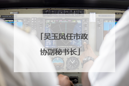 吴玉凤任市政协副秘书长