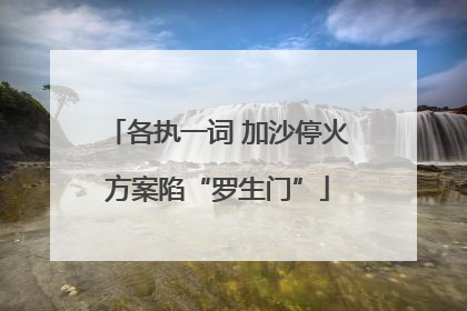 各执一词 加沙停火方案陷“罗生门”