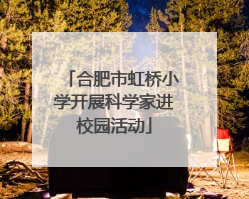 合肥市虹桥小学开展科学家进校园活动
