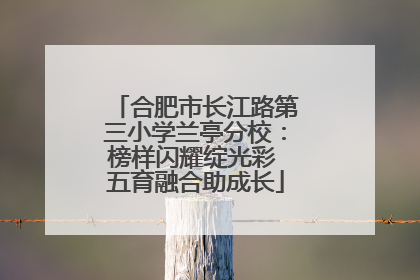 合肥市长江路第三小学兰亭分校：榜样闪耀绽光彩 五育融合助成长