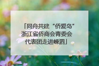 同舟共建“侨爱岛” 浙江省侨商会青委会代表团走进嵊泗