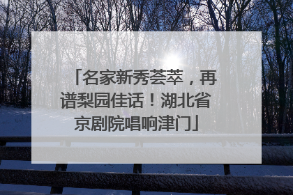 名家新秀荟萃，再谱梨园佳话！湖北省京剧院唱响津门