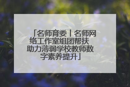 名师育娄丨名师网络工作室组团帮扶 助力薄弱学校教师数字素养提升