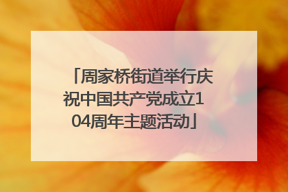 周家桥街道举行庆祝中国共产党成立104周年主题活动