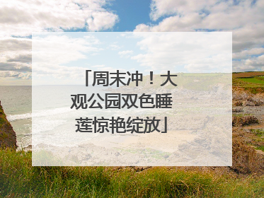 周末冲！大观公园双色睡莲惊艳绽放