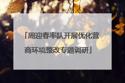 周迎春率队开展优化营商环境整改专题调研