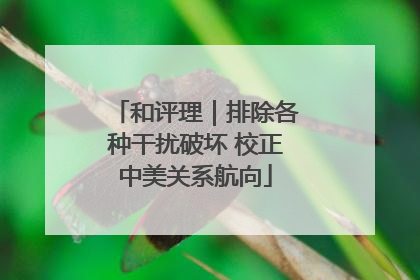 和评理｜排除各种干扰破坏 校正中美关系航向
