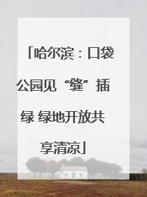 哈尔滨：口袋公园见“缝”插绿 绿地开放共享清凉