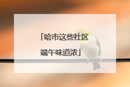 哈市这些社区端午味道浓