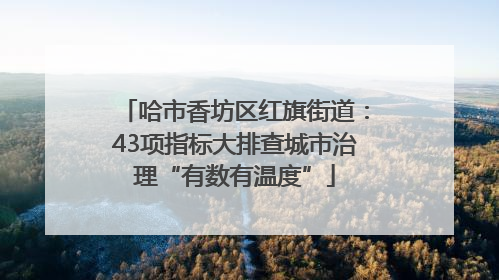 哈市香坊区红旗街道：43项指标大排查城市治理“有数有温度”
