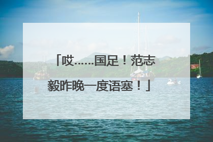 哎……国足！范志毅昨晚一度语塞！