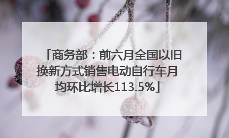 商务部：前六月全国以旧换新方式销售电动自行车月均环比增长113.5%