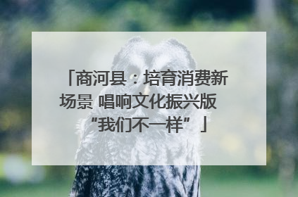 商河县：培育消费新场景 唱响文化振兴版“我们不一样”