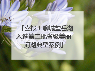喜报！聊城望岳湖入选第二批省级美丽河湖典型案例