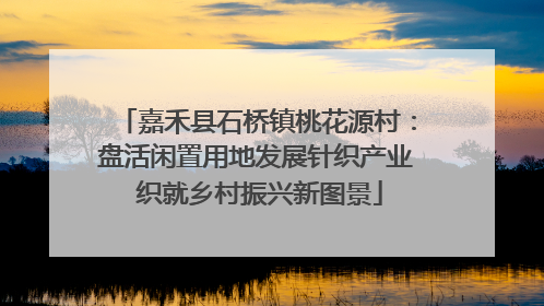 嘉禾县石桥镇桃花源村：盘活闲置用地发展针织产业 织就乡村振兴新图景