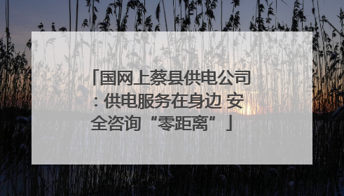 国网上蔡县供电公司：供电服务在身边 安全咨询“零距离”