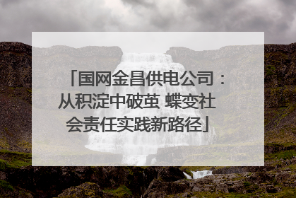 国网金昌供电公司：从积淀中破茧 蝶变社会责任实践新路径