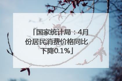 国家统计局:4月份居民消费价格同比下降0.1%