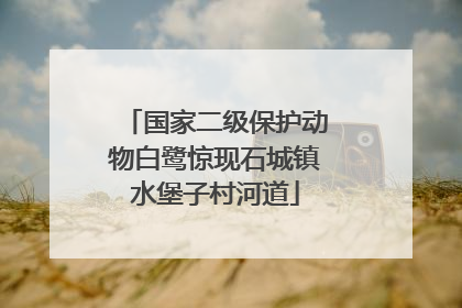 国家二级保护动物白鹭惊现石城镇水堡子村河道