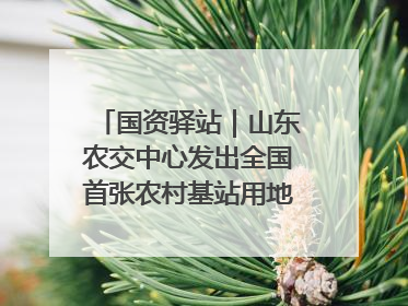 国资驿站｜山东农交中心发出全国首张农村基站用地流转交易“身份证”；“湾区跨境绿运通”上线