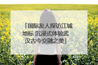 国际友人探访江城地标 沉浸式体验武汉古今交融之美