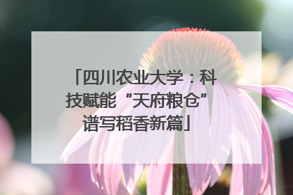 四川农业大学：科技赋能“天府粮仓”谱写稻香新篇