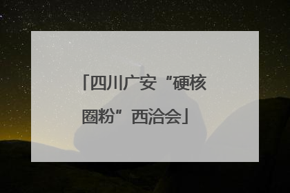 四川广安“硬核圈粉”西洽会