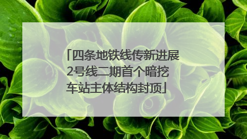 四条地铁线传新进展 2号线二期首个暗挖车站主体结构封顶