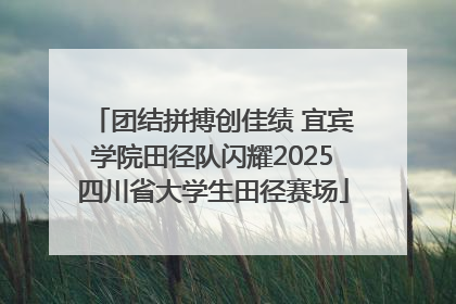 团结拼搏创佳绩 宜宾学院田径队闪耀2025四川省大学生田径赛场