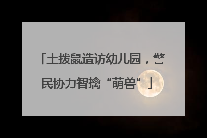 土拨鼠造访幼儿园，警民协力智擒“萌兽”